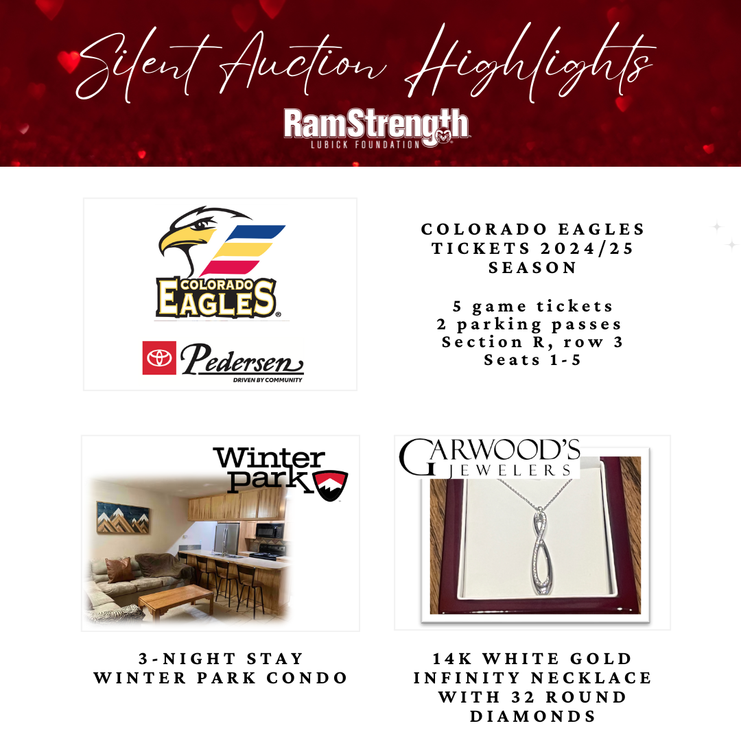 Post 5 - Silent Auction 3