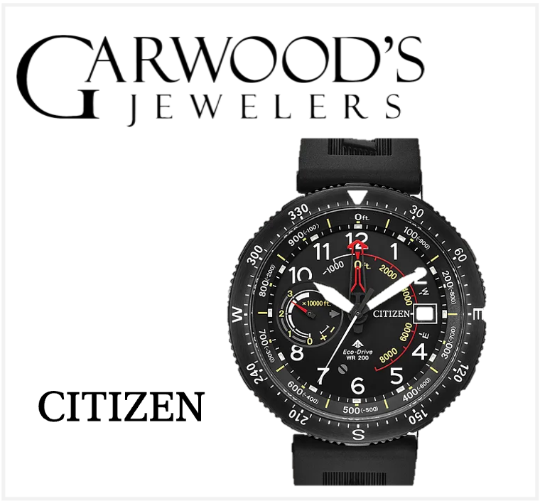 Men's Citizen Promaster Altichron